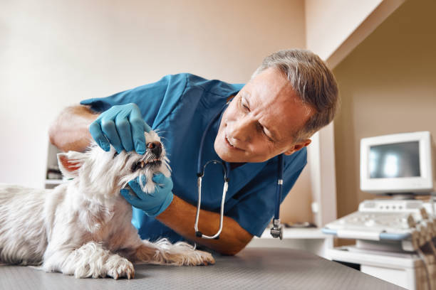 Best Emergency Tooth Extraction in Sunray, TX