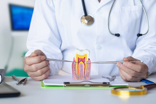 Best Emergency Root Canal Treatment in Sunray, TX